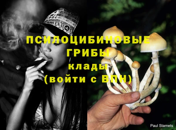тгк Абинск