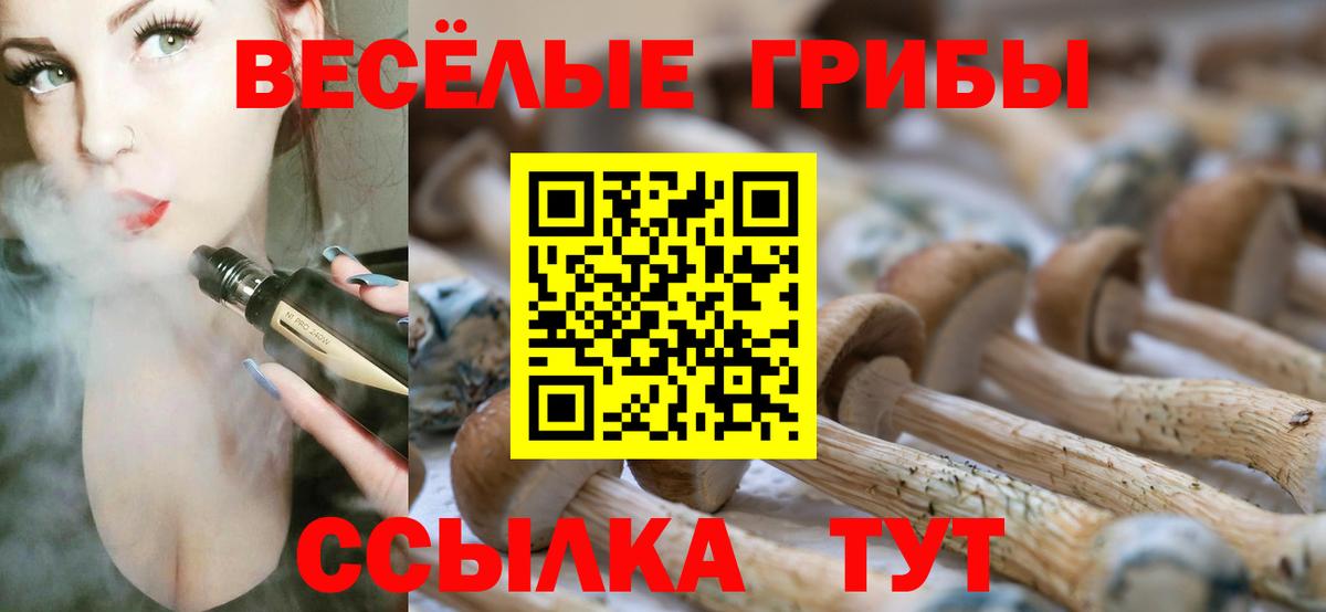 магазин    Псилоцибиновые грибы прущие грибы  Вход с VPN  Киржач 